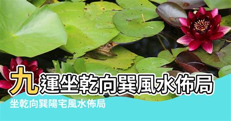 思親公園風水|思親公園，坐乾向巽，路從東入，門承旺氣，內奉先人，可以安。